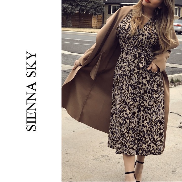 Leopard Animal Print Vneck Dress Button 